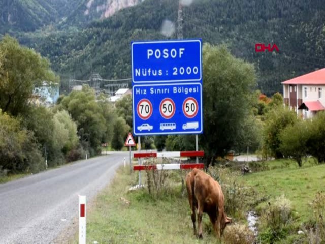 Posof
