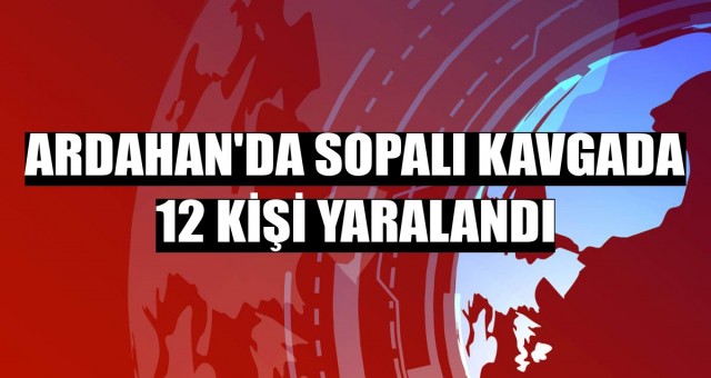 Ardahan'da sopalı kavgada 12 kişi yaralandı